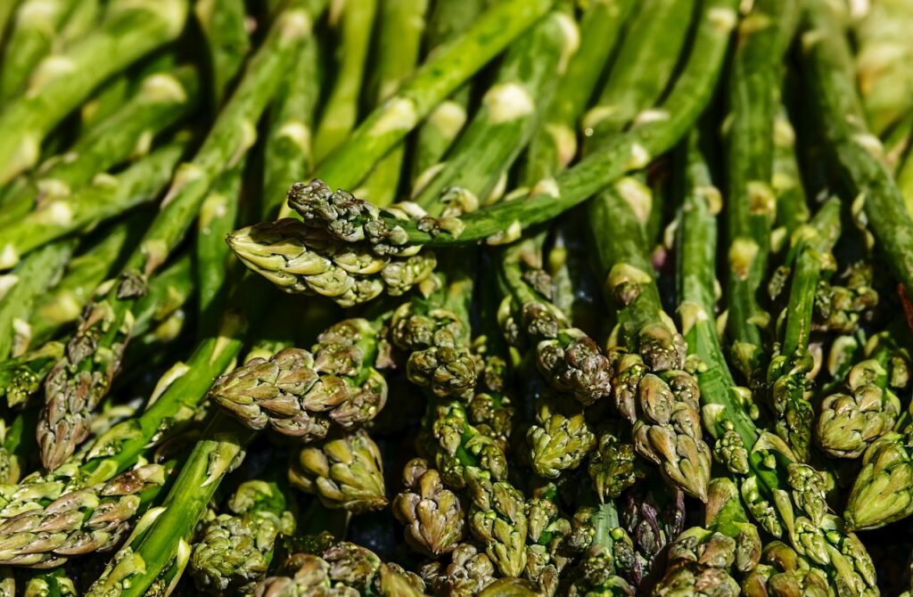 asparagus, vegetables, food-