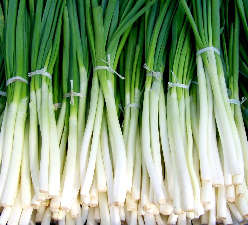 Recipes With Green Onions