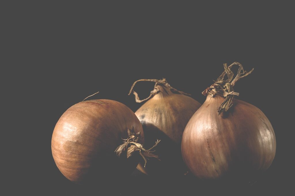 Recipes with Onion