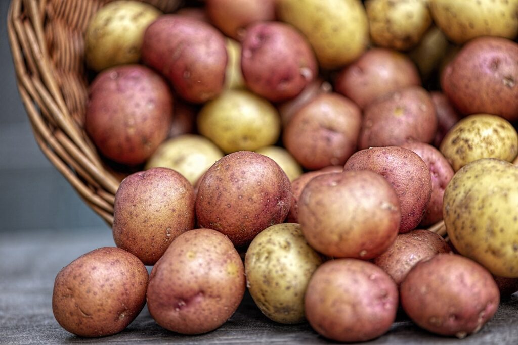 Recipes With Red Skin Potatoes