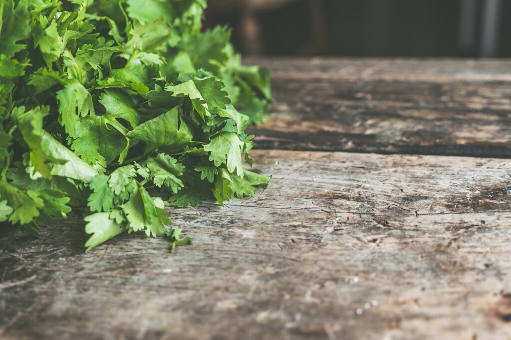 salad, cilantro, cooking-2850199.jpg