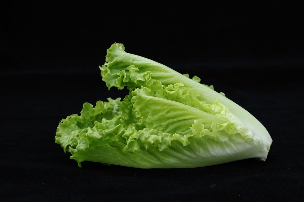 vegetable, lettuce, romaine lettuce-5554160.jpg