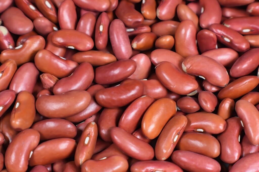 Recipes With Kidney Beans