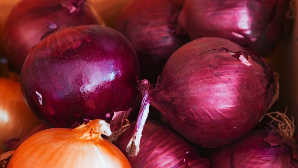 Red Onion Recipes